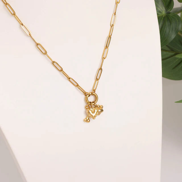 Stainless Steel Pet Charm Holder Necklace Gift Set