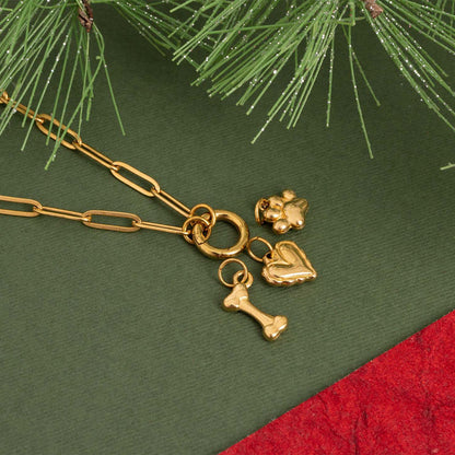Stainless Steel Pet Charm Holder Necklace Gift Set